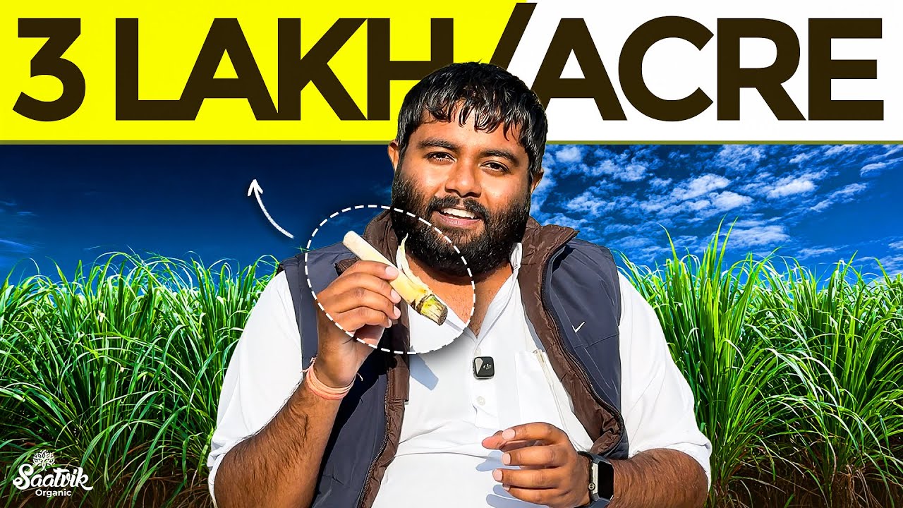 Super Napier Grass A to Z Explained | CBG, Bio Pellets & Gaushala Use | Napier Farming