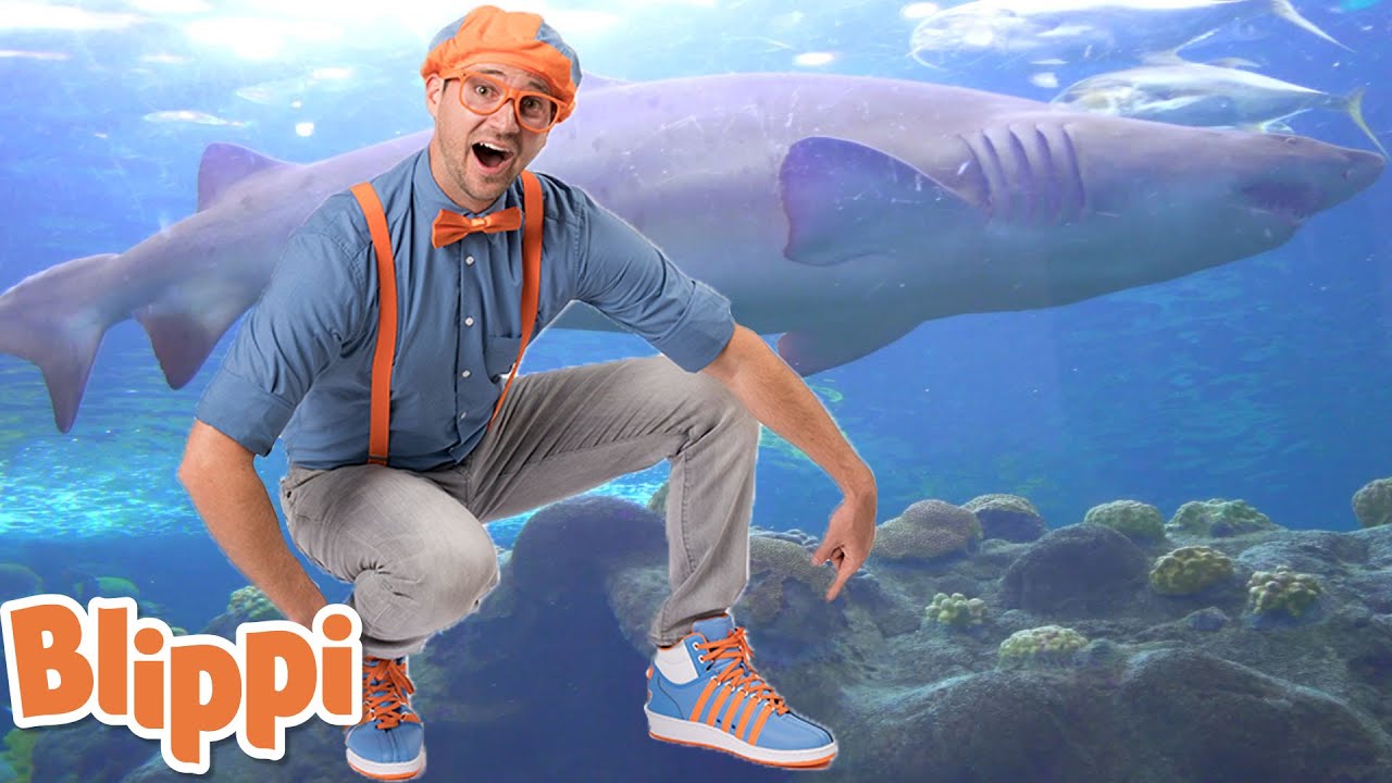 Blippi Goes to an Aquarium | Learn With Blippi | Blippi | Moonbug Kids