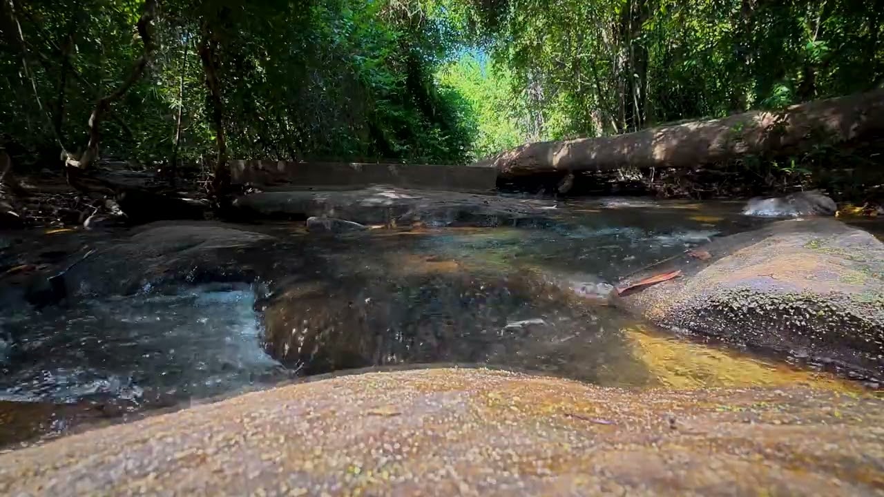 Quiet Stream & Gentle Piano for Calm and Focus