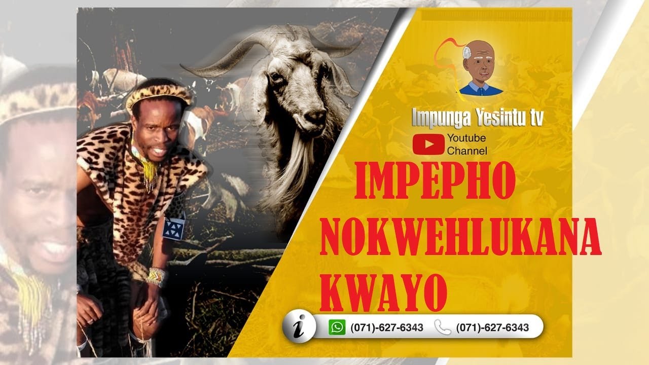 IMPEPHO NOKWEHLUKANA KWAYO | Impunga Yesintu TV