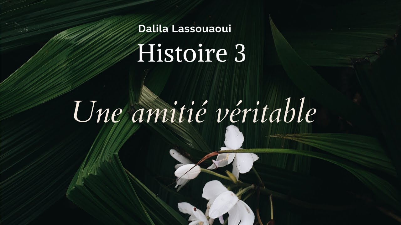 Histoire 3 
