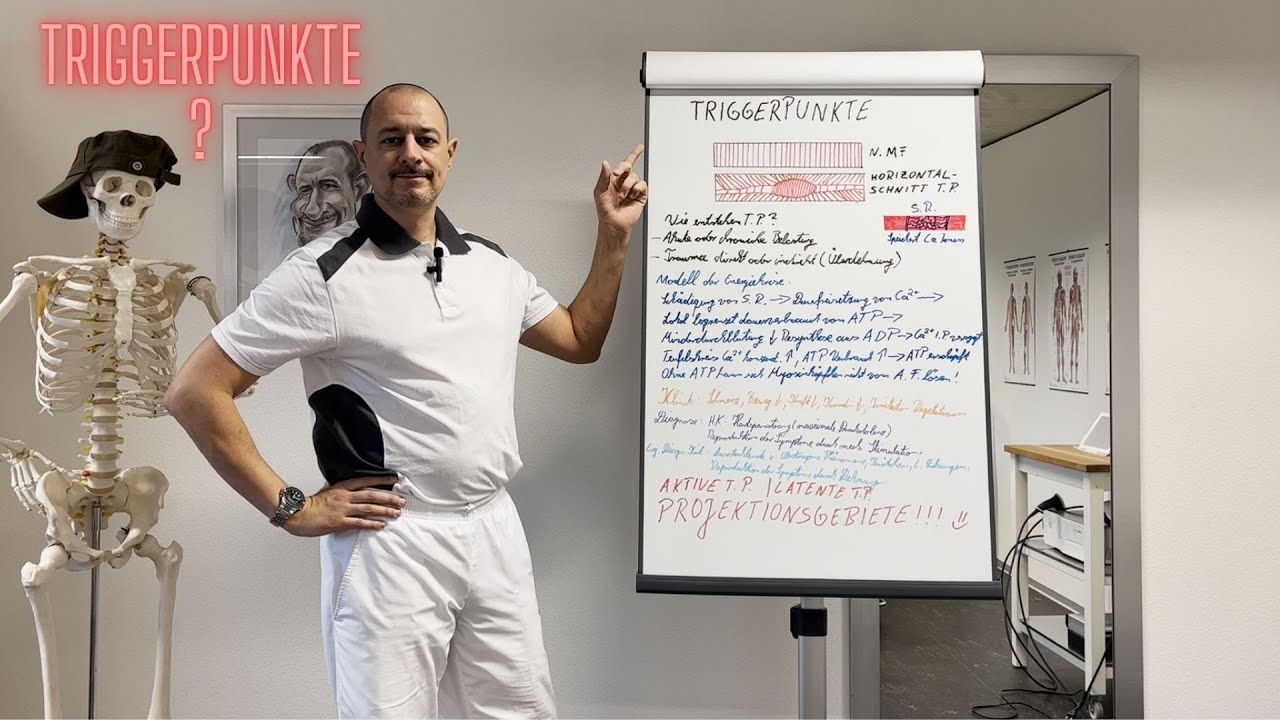 Triggerpunkte - Entstehung, Ursachen und Diagnose.