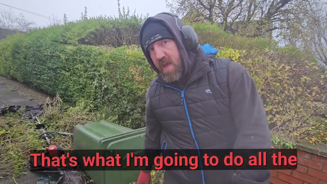 Privet hedge reduction (top off) 