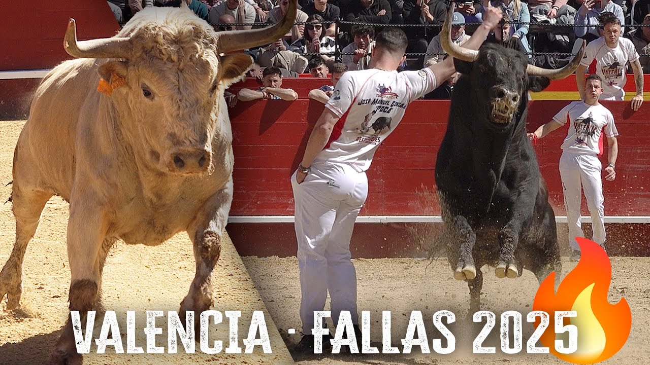 🏆 VALENCIA 2025 · 🔥 RECORTADORES CON TOROS BRAVOS EN FALLAS
