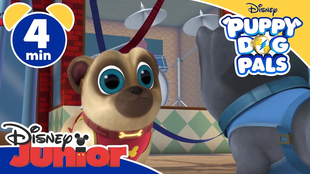 Puppy Dog Pals | Bingo e Rolly alle prese con la spesa - Disney Junior Italia