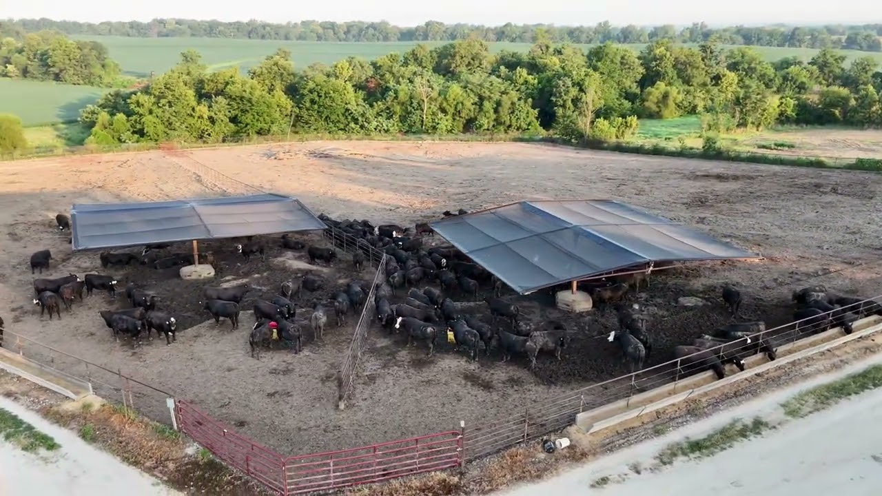 DH AERIAL PHOTOGRAPHY Missouri cattle sunrise 