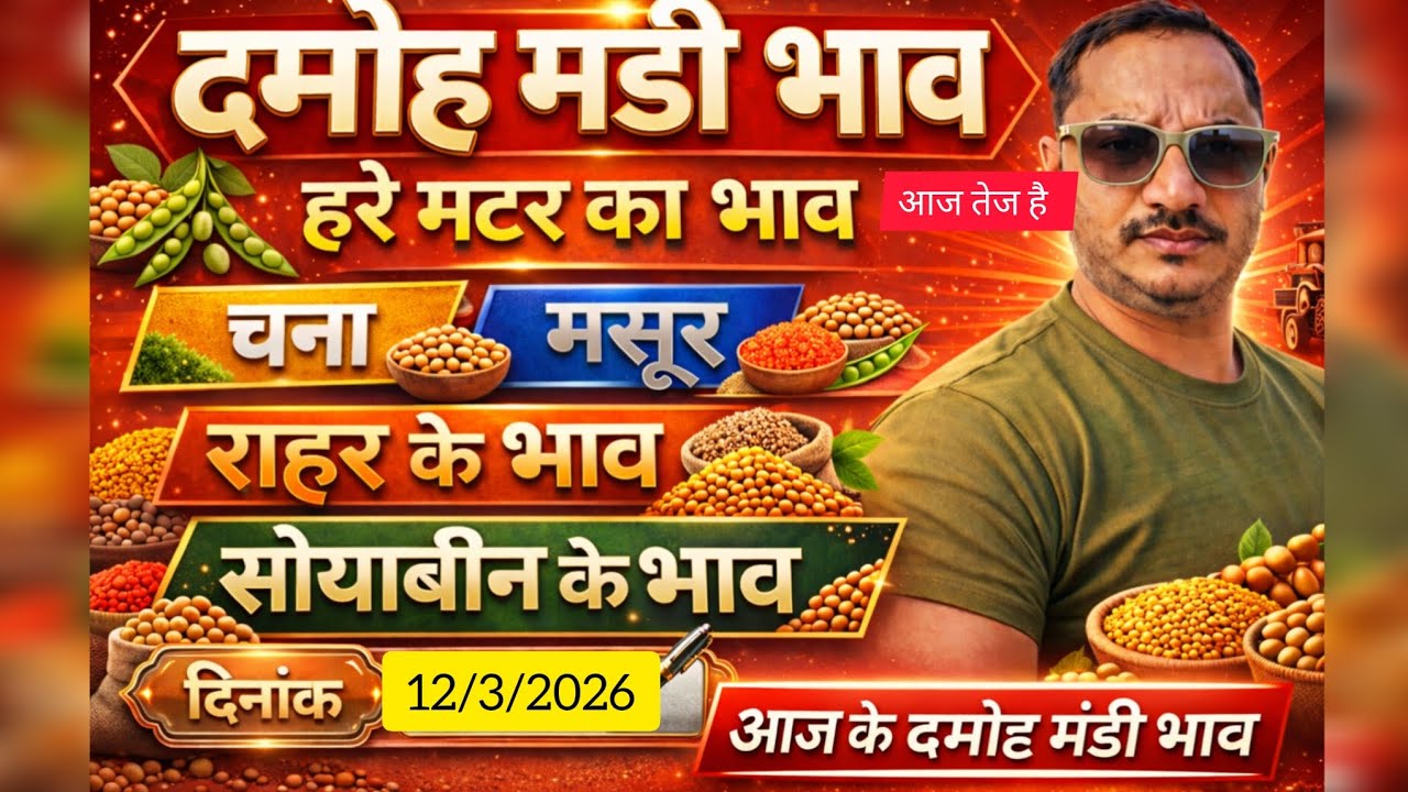 Damoh mandi bhav #हरे मटर का भाव #मसूर के भाव #चना का भाव # सफेद मटर का भाव 
