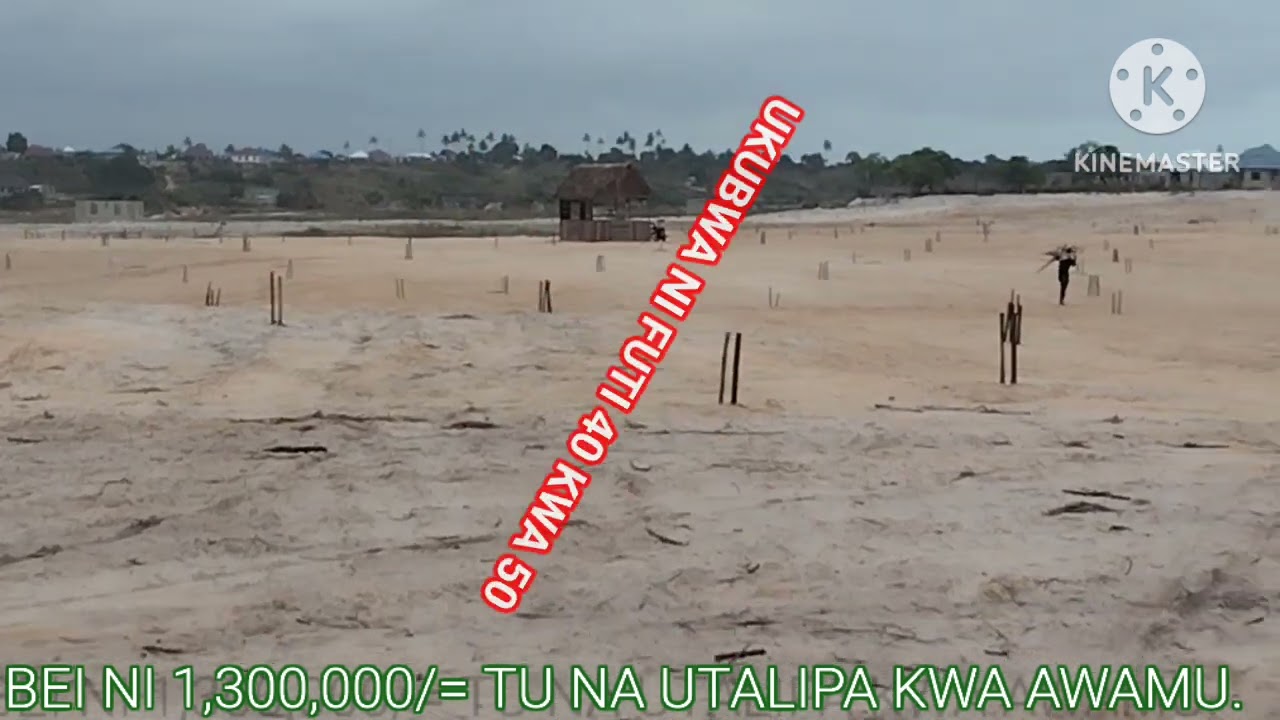 KARIBU UONE JINSI VIWANJA VINAVYOGAWIWA BURE KABISA KISEMVULE KWA 1,300,000/=. PIGA 0788-163 255