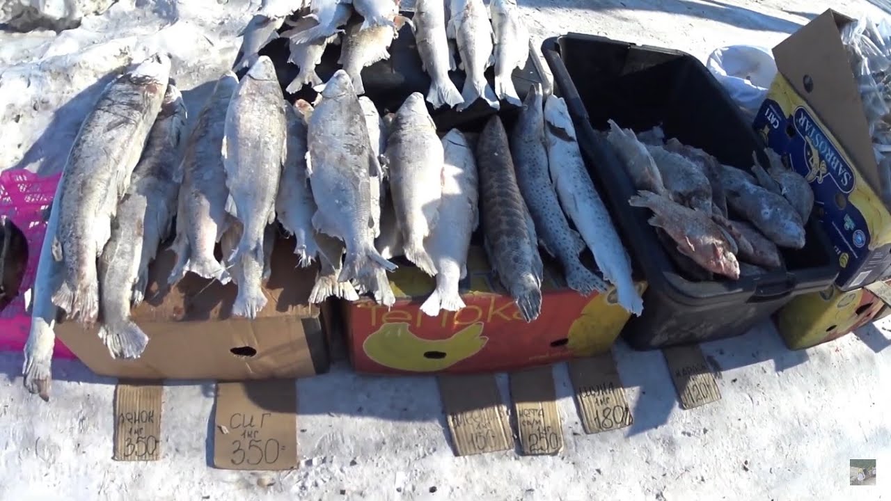 КОМСОМОЛЬСК-НА-АМУРЕ. ЗИМНЯЯ ПРОГУЛКА ПО ГОРОДУ СОЛНЦА И МОРОЗА. ДАЛЬНИЙ ВОСТОК РОССИИ. ФЕВРАЛЬ 2024