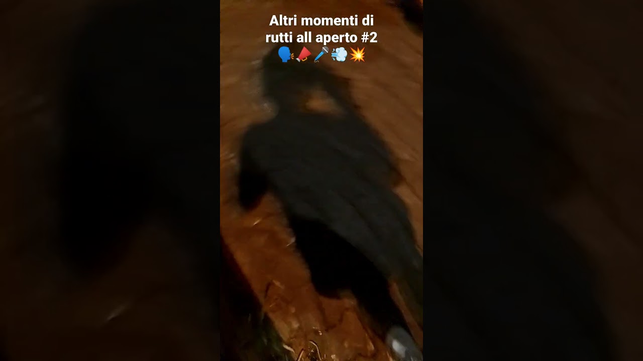 Altri momenti di rutti all' aperto #2 🗣️📣🎤💨💥