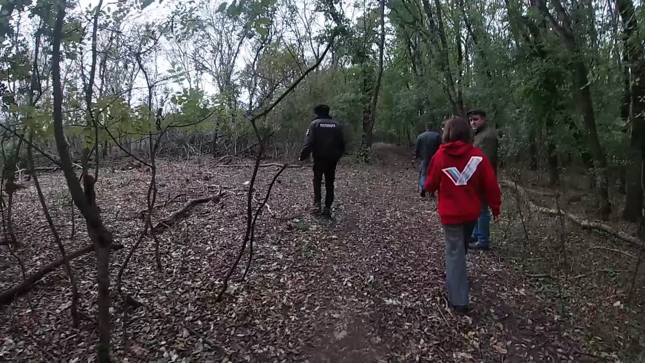 Незаконная рубка деревьев