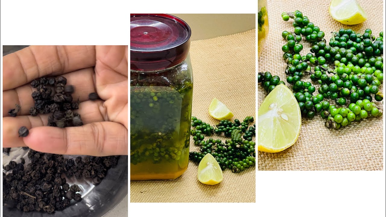 हरी काली मिर्च का आचार और काली मिर्च कैसे सुखाते है |Pickled peppercorns &how to make black pepper