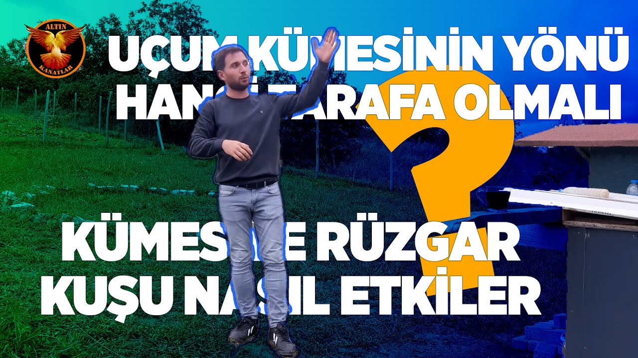 Kümesin yönü ne tarafa olmalı / Eğitim Videosu