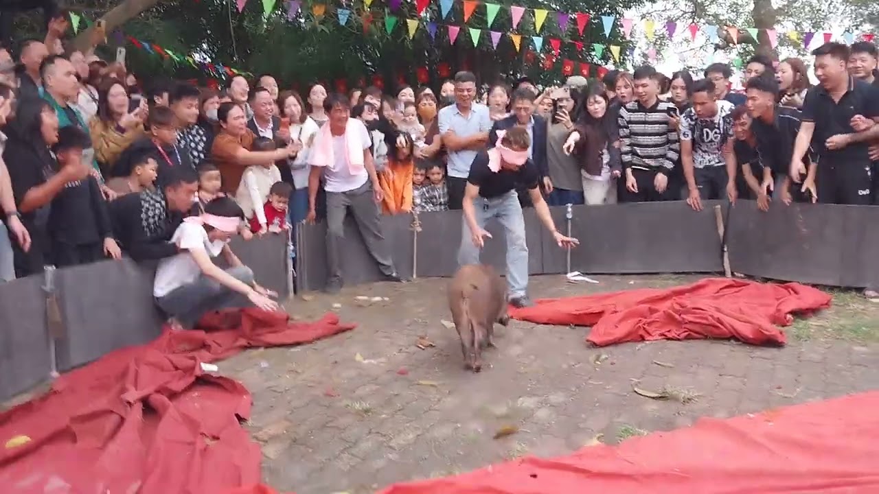 Trò chơi bịt mắt bắt lợn rừng 
