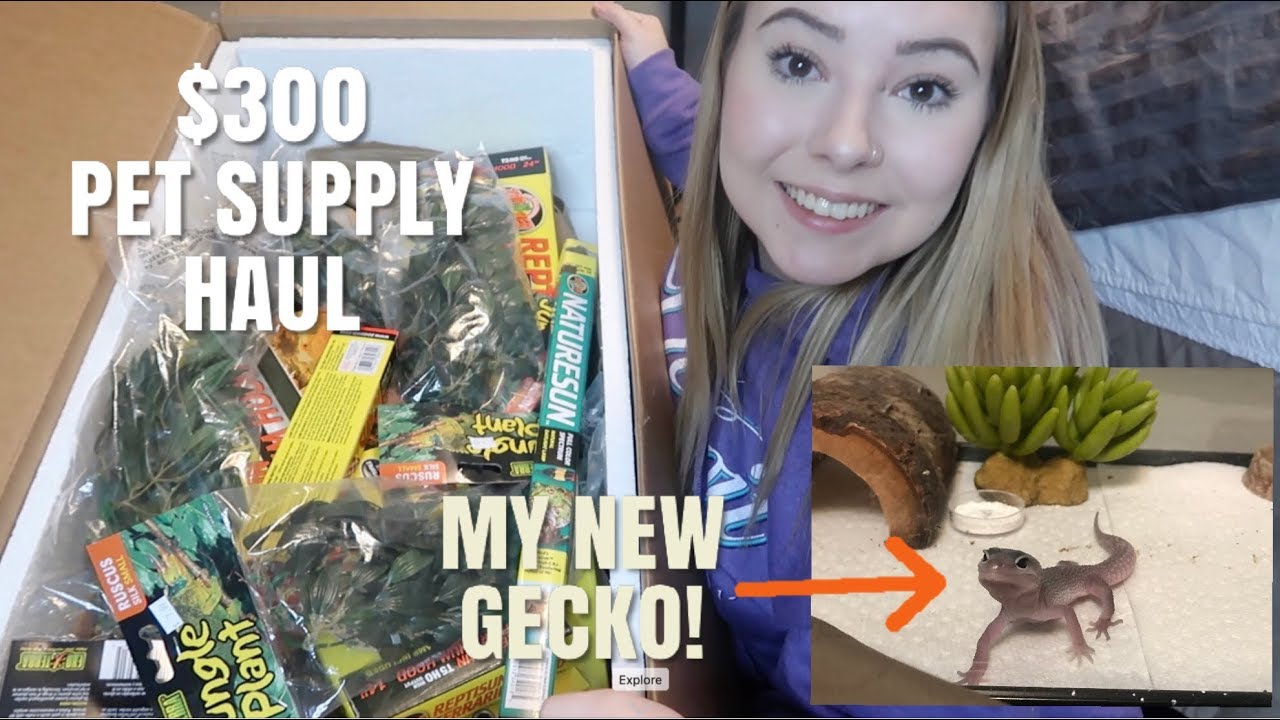 Meet My New Gecko + $300 Pet Supply Haul! | Vlogmas Day 13
