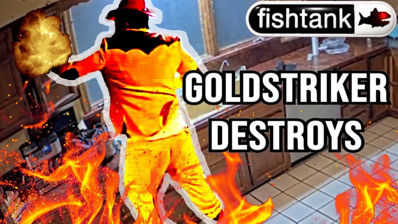 Goldstriker Vs Cabinets Fishtank S2 Day 22