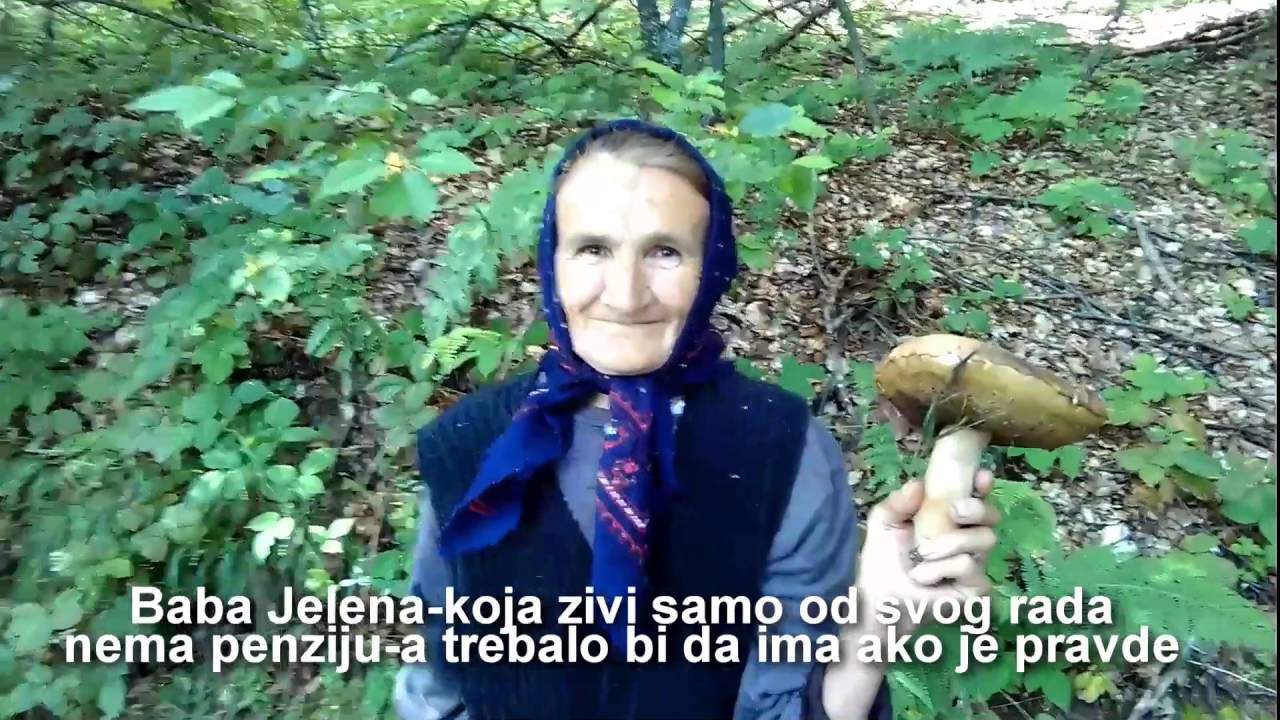 SELO GORNJE GARE - OPSTINA CRNA TRAVA- 2deo