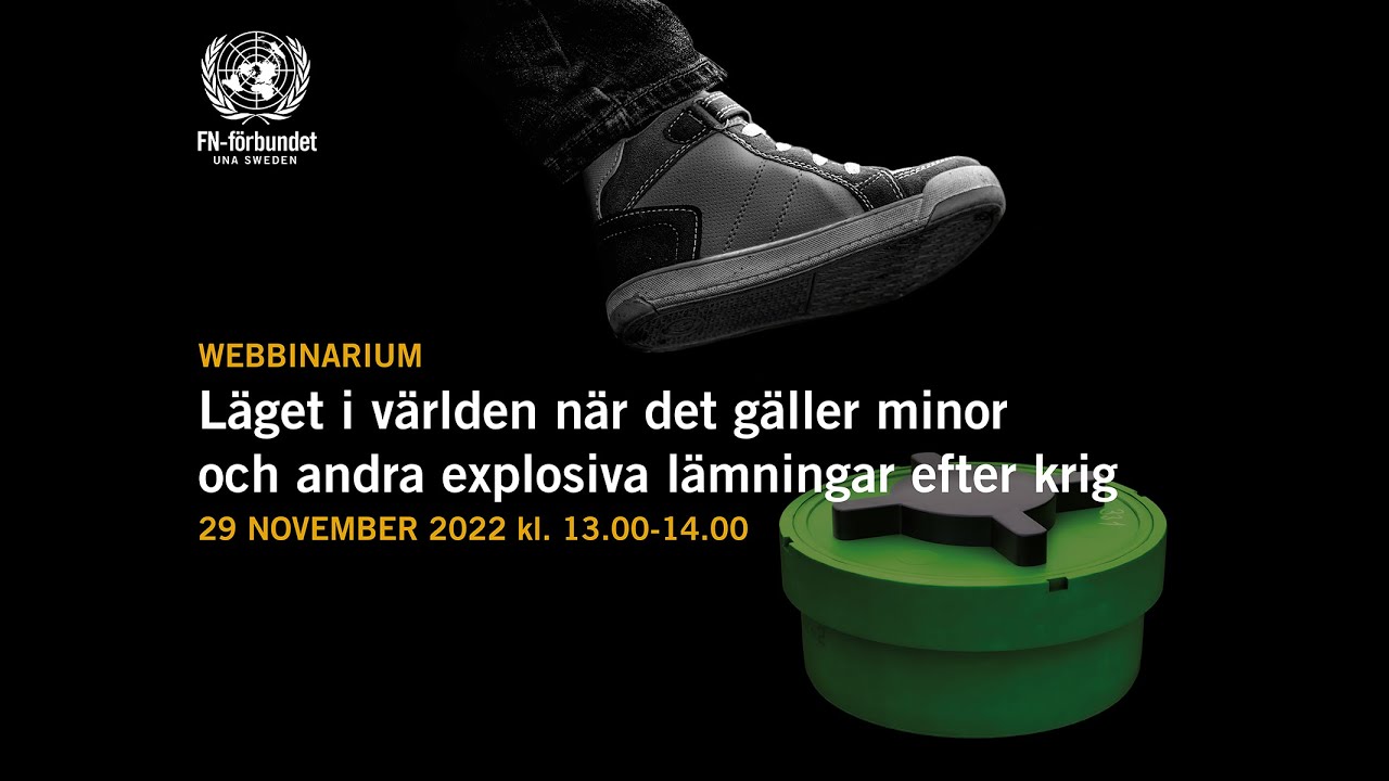 Webbinarium: Läget i världen när det gäller minor och andra explosiva lämningar efter krig