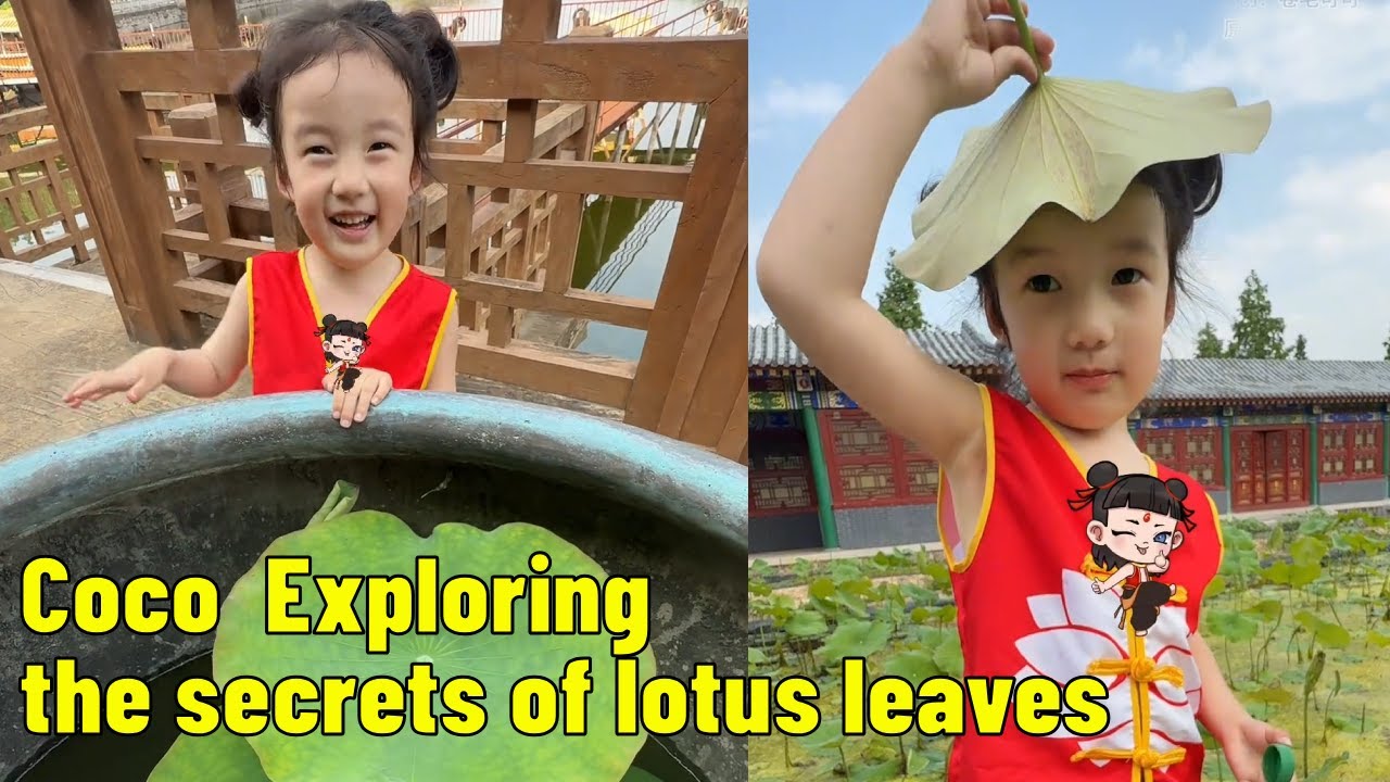 Little Nezha discovered the secret of lotus leaves—it's amazing!