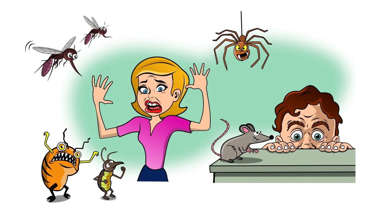 Whiteboard Animated Videos for Pest Control Companies Exterminators - Whiteboard Video Services