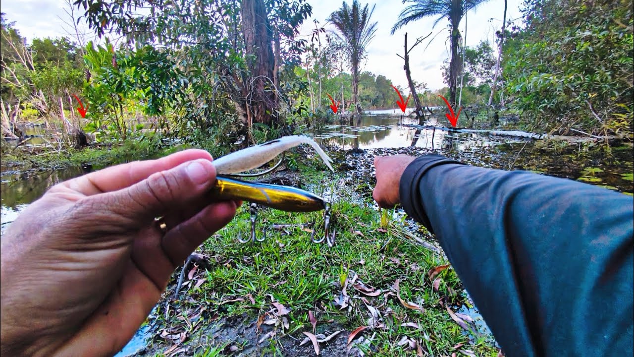 🚨 Dia Adifícil, Mas é IMPRESSIONANTE o quanto esse lugar tem PEIXE! 🔥