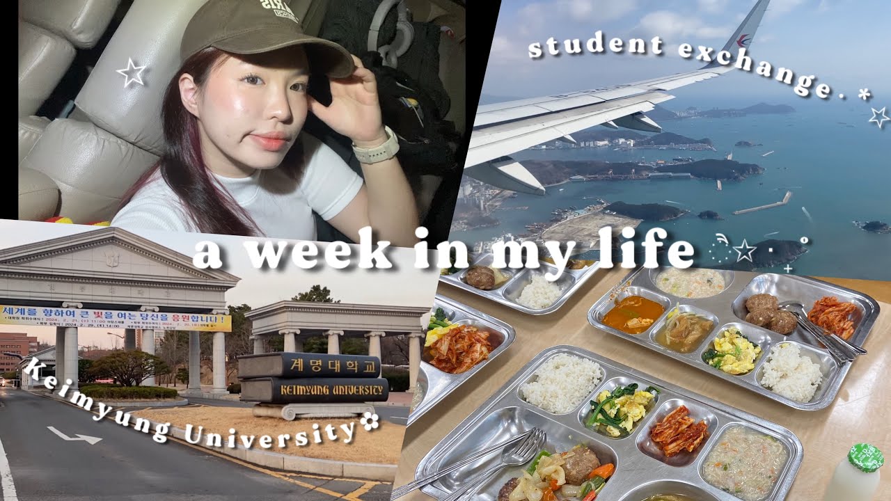 A week in my life ☆*:・ﾟ-  Binus Study Abroad to Korea, AIMS Scholarship, Keimyung University