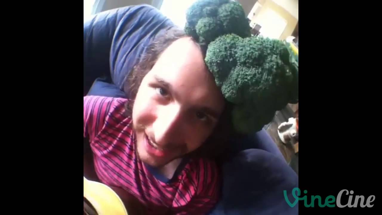 Best Vine Compilation June 2013