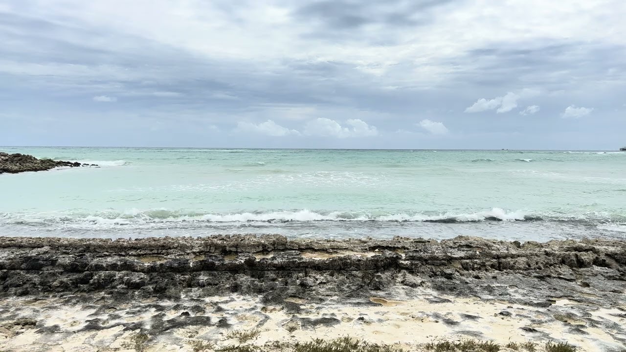 IMG 4833