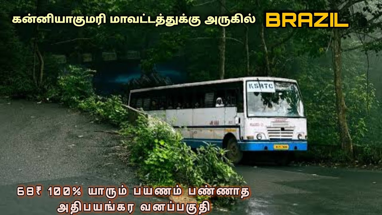 💢 கன்னியாகுமரி மாவட்டத்திற்கு அருகில் இப்படி ஒரு இடமா 😍 Breamore ❤️