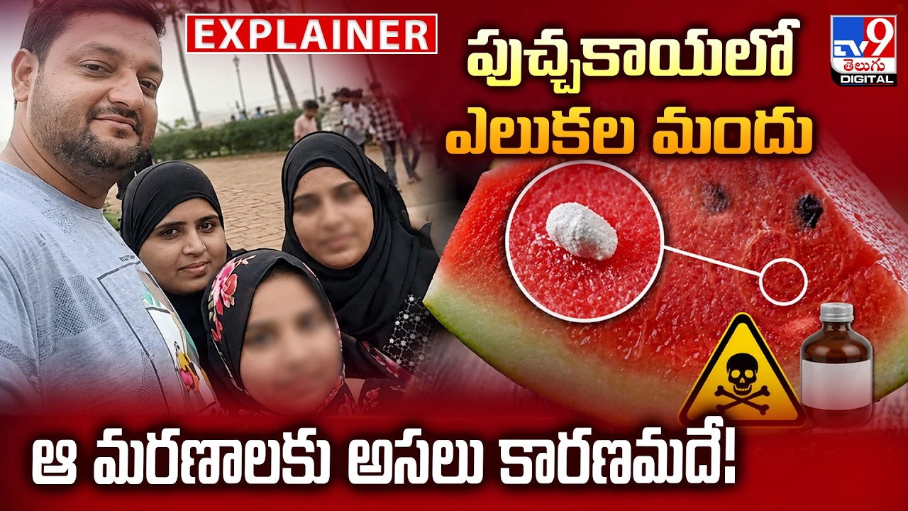 Explainer | Rat poison in watermelon... the real reason for those deaths! | Mumbai Watermelon Cas...