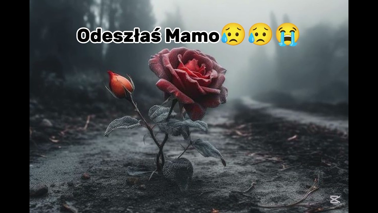 DawixMiusic - Odeszłaś Mamo😭