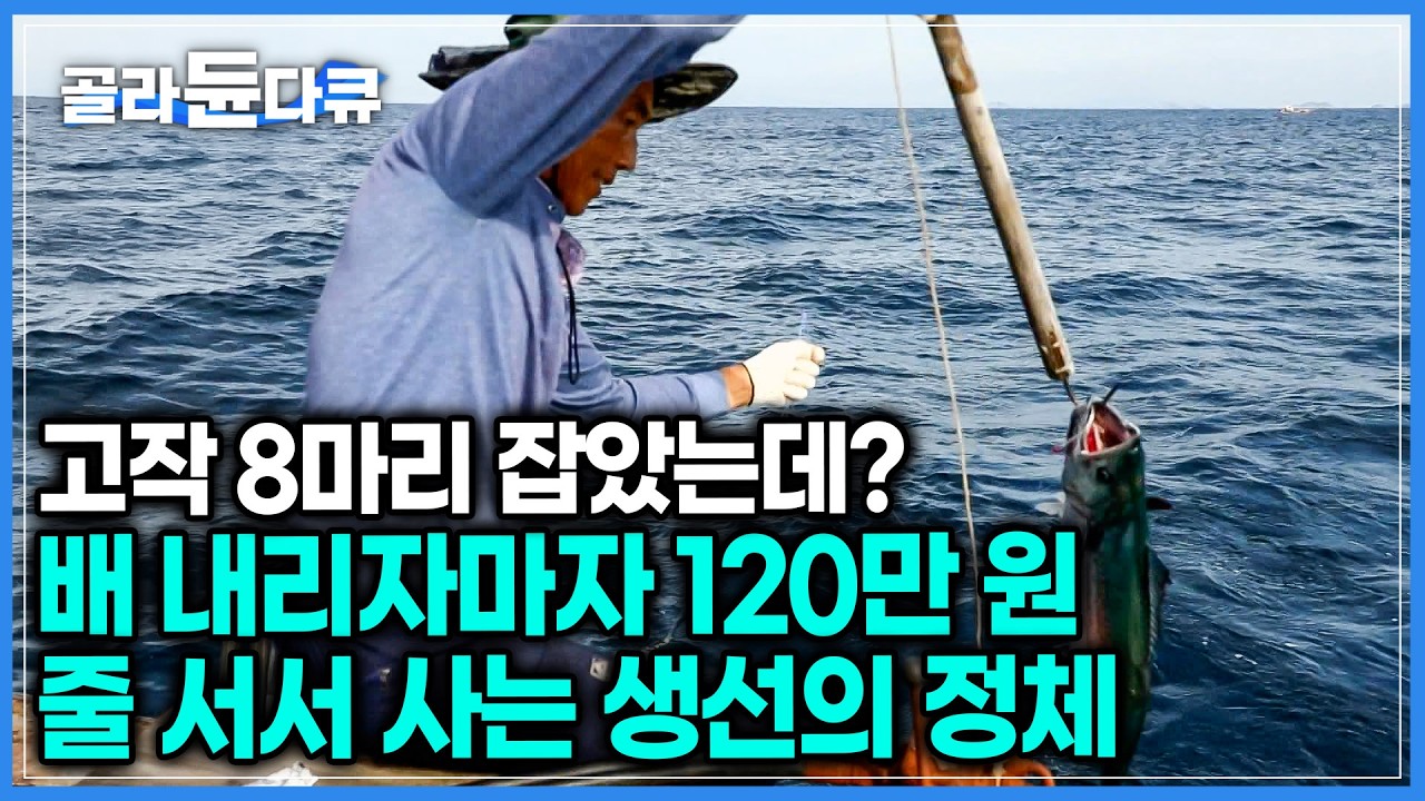 조금만 늦어도 줄 끊고 달아나는 몸값 비싼 놈, 딱 8마리 잡았는데 하루 일당 100만 원이 훌쩍 넘었다!｜한국기행｜#골라듄다큐