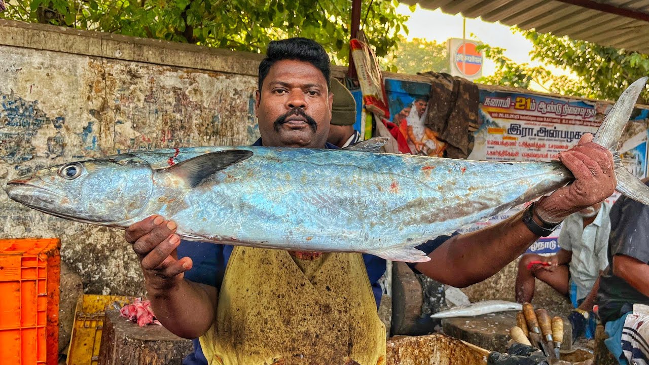 KASIMEDU SPEED SELVAM | BIG KING SEER FISH CUTTING VIDEO | 4K VIDEO | CS FISH CUTTING