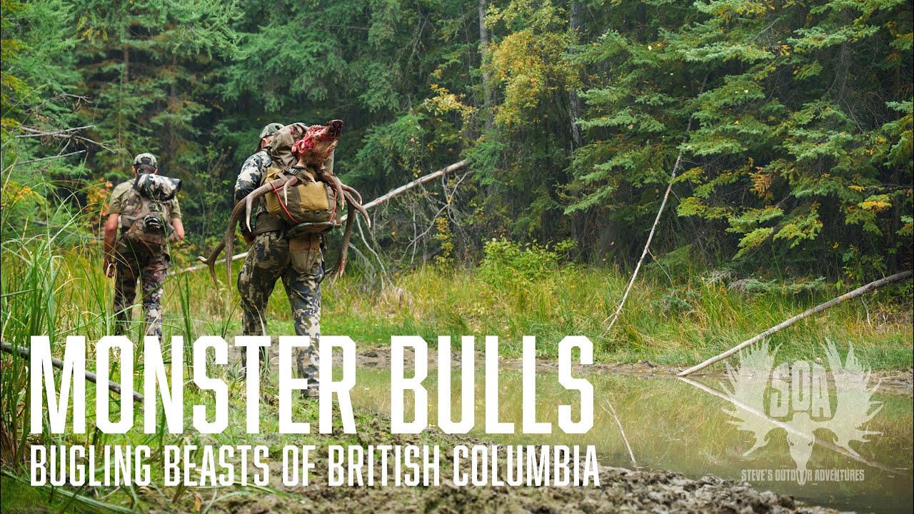 British Columbia - Elk Hunt the Rut