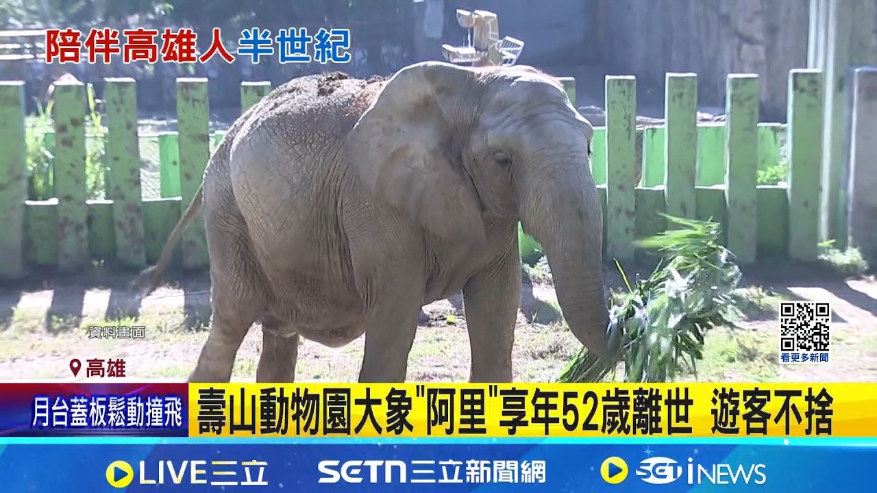 再見了