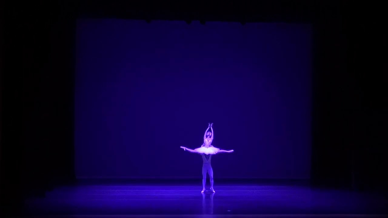 백조의호수 중  백조 ( 1막 백조파드되 ) Swan lake  Act II Pas de deux