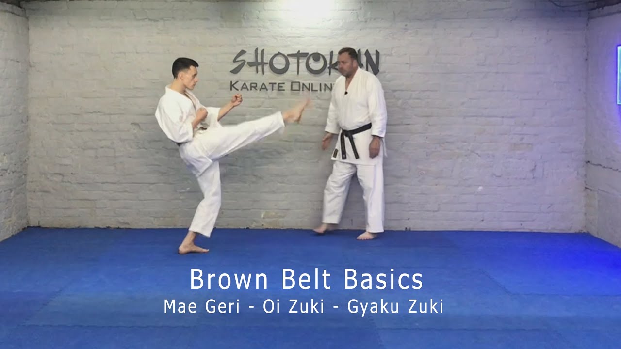 2nd Kyu Syllabus Mae Geri Oi Zuki Gyaku Zuki Brown Belt Basics