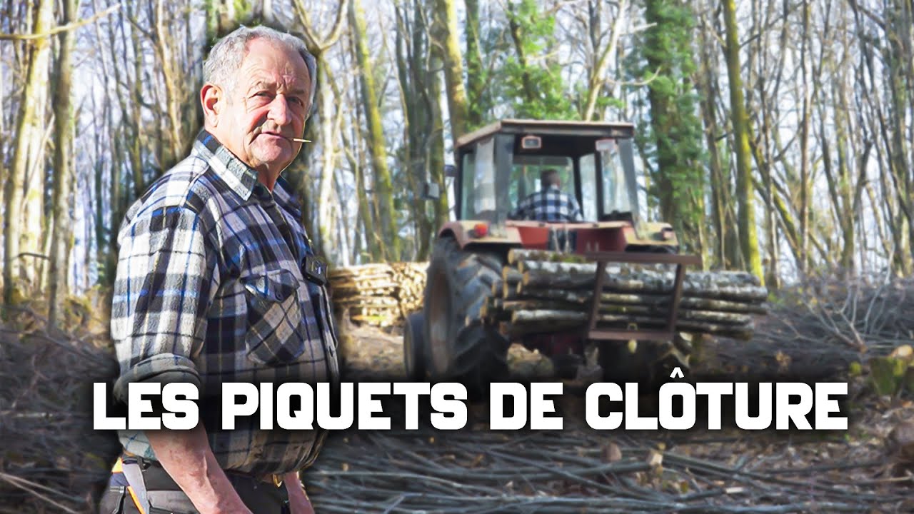 Jean-Louis prépare ses piquets de clôture