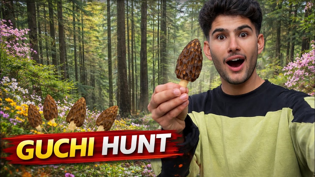 We Found Rare Mushrooms in Jungle 😱 | Neelum Valley Adventure 😲 | ShowBoo 