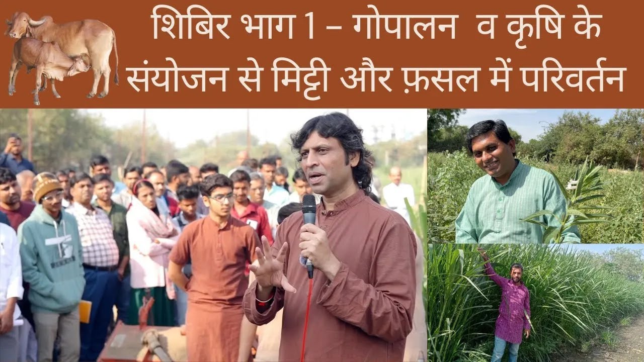 गोकृपा शिबिर भाग 1   गोशाला एवं कृषिभूमि दर्शन, गोपालन व कृषि के संयोजन से मिट्टी, फ़सल में परिवर्तन