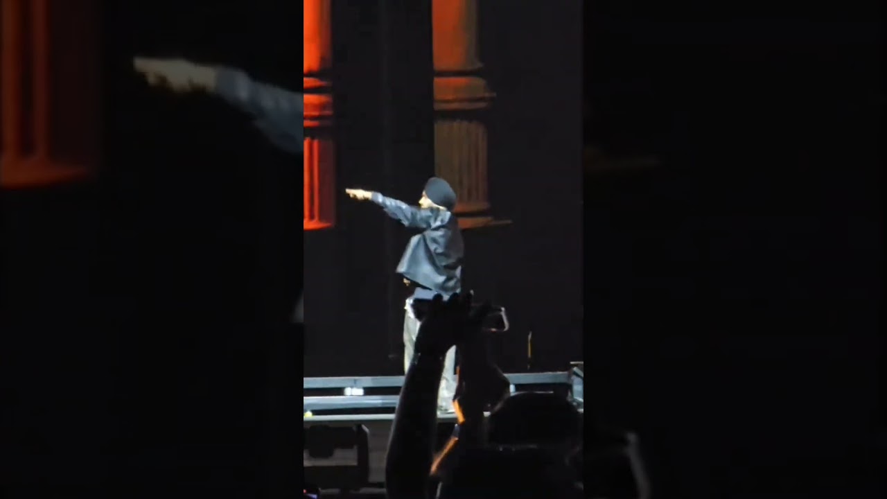 Shubh Live King shit  in Dubai Show 🔥❤🥺 