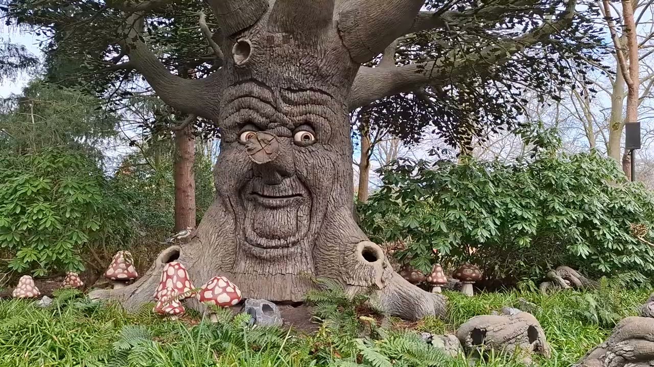 Sprookjesboom verhaal: Klein is fijn club