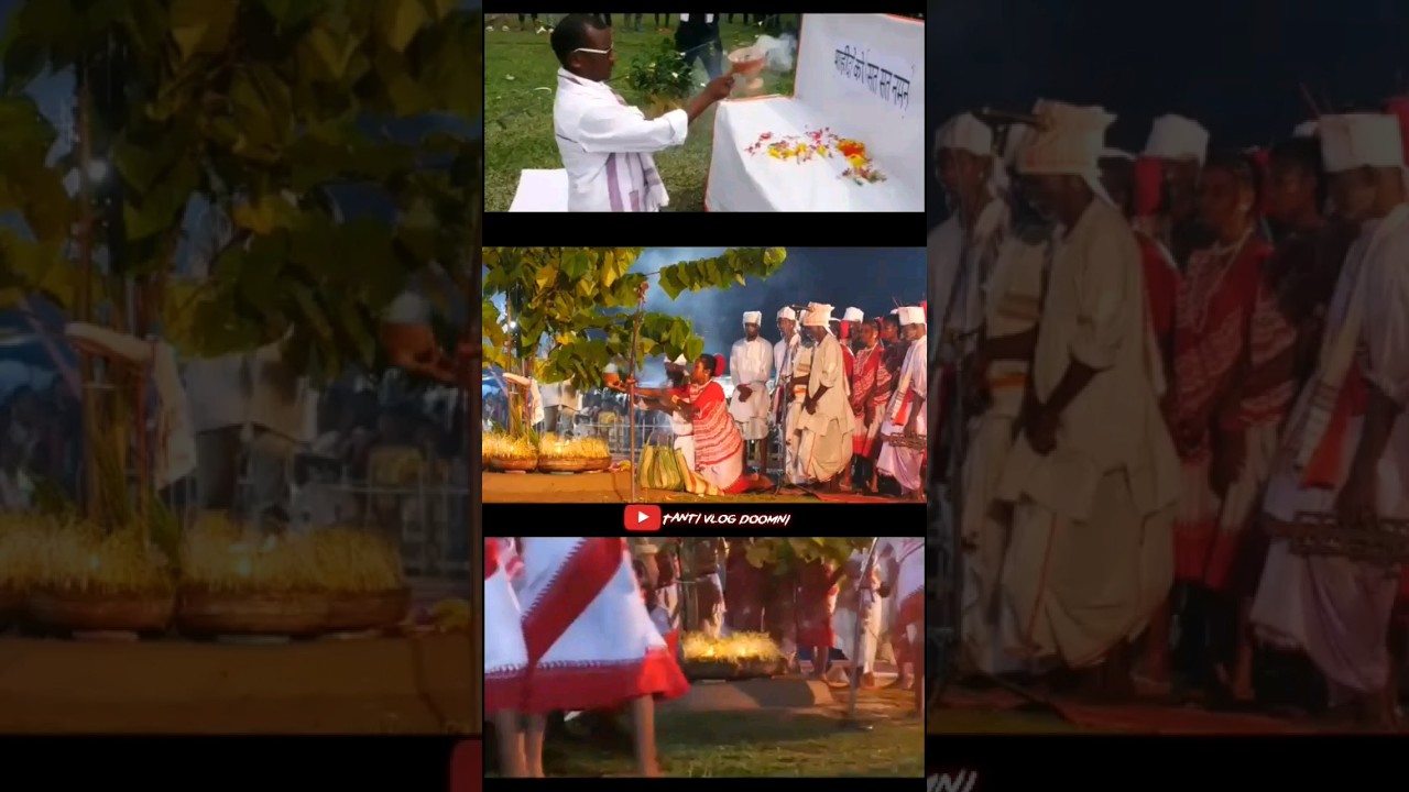 yah hai doomni chai bagan ka culture karam 🙏🙏 #short# video #tantivlogdoomni#