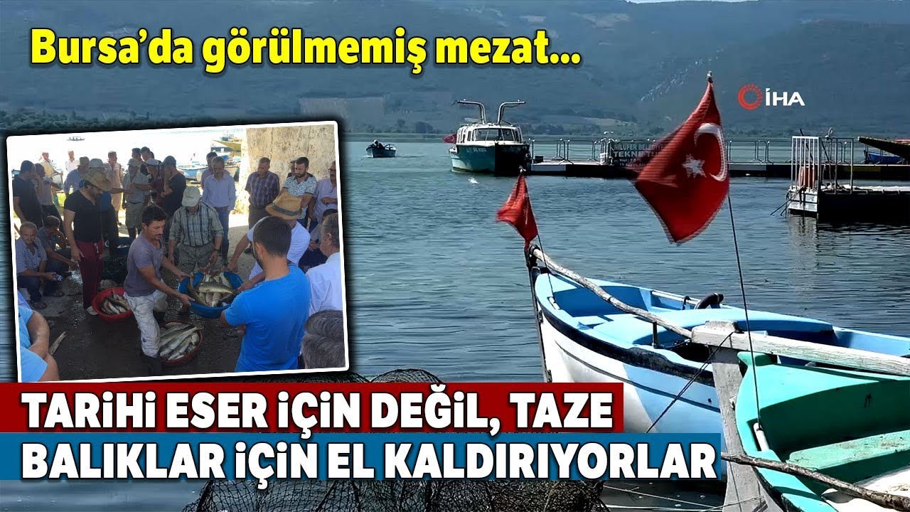 Bursa’da Bu Gölden Çıkan Balıklar 100 Yıldır Müzayede İle Satılıyor
