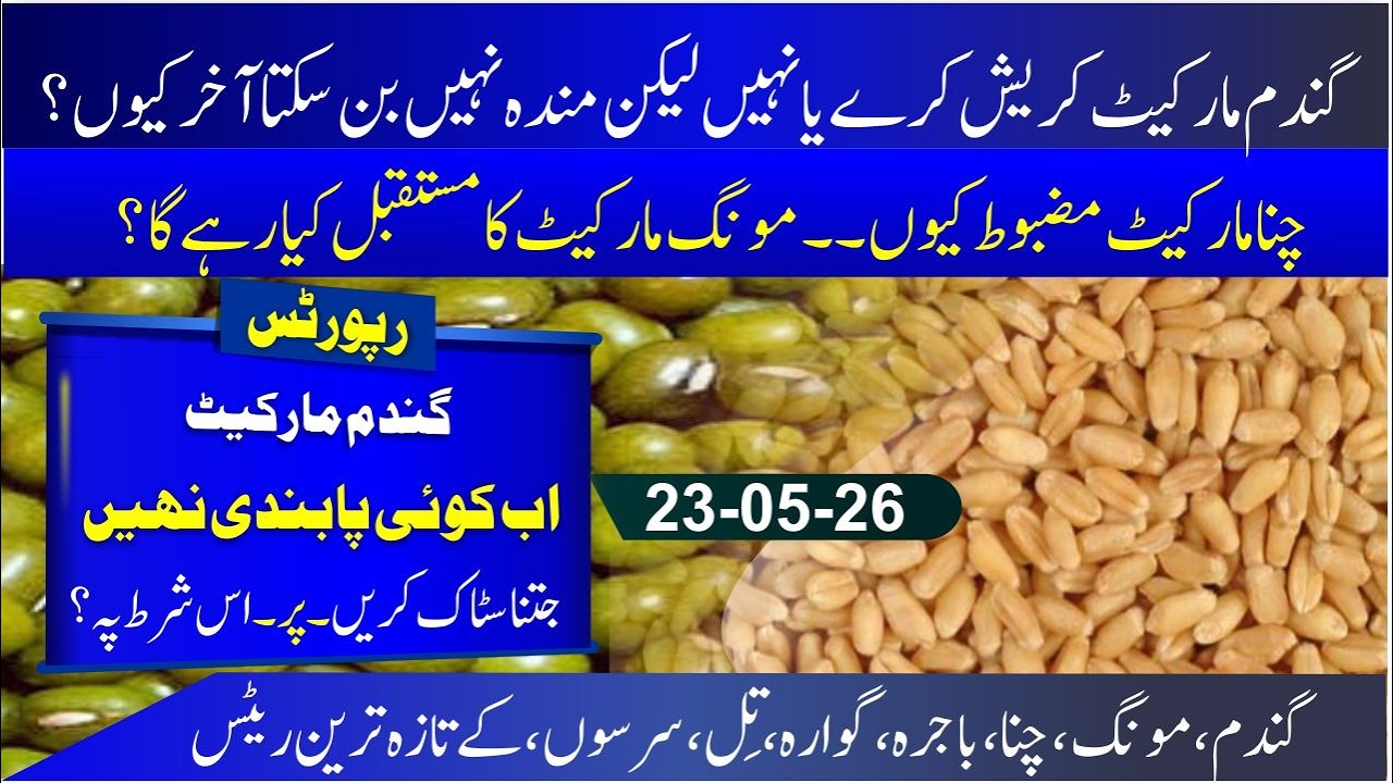 Today wheat report in pakistan 2026 | Moong rate today | chana rate in future | Guar price | Bajra