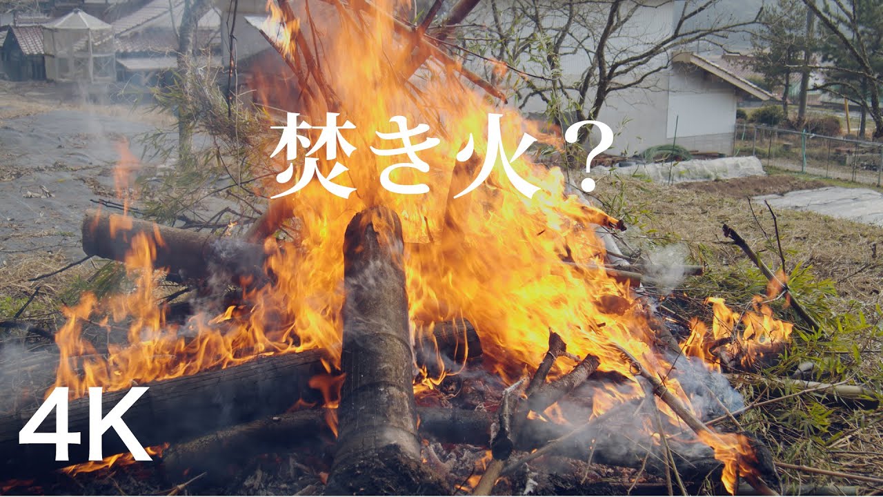 田舎で焚き火(竹を燃やす1)Bamboo burning sound