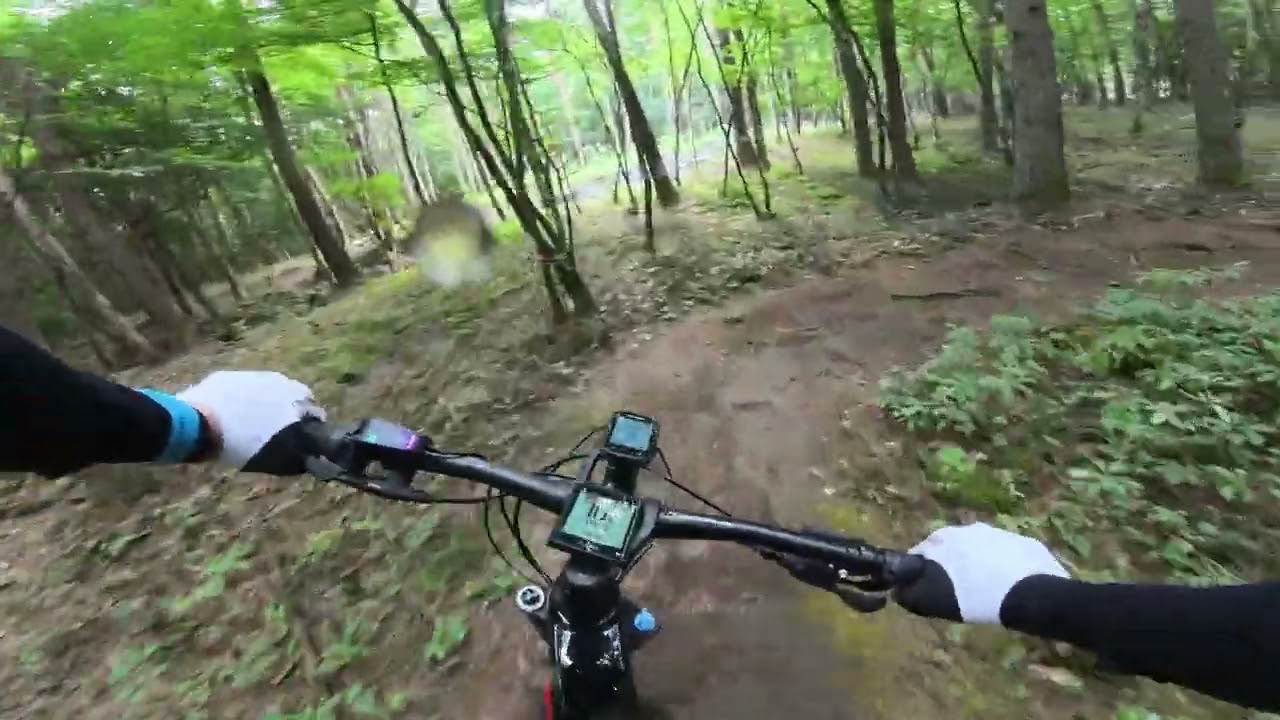 国営アルプスあづみの公園　マウンテンバイクパーク
