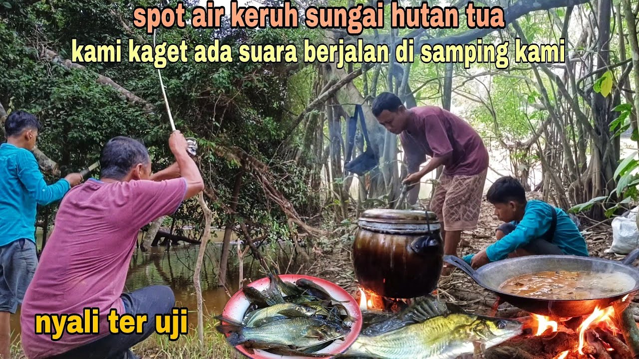 SPOT AIR KERUH DI SUNGAI HUTAN TUA, ADA SUARA BERJALAN BIKIN MERINDING