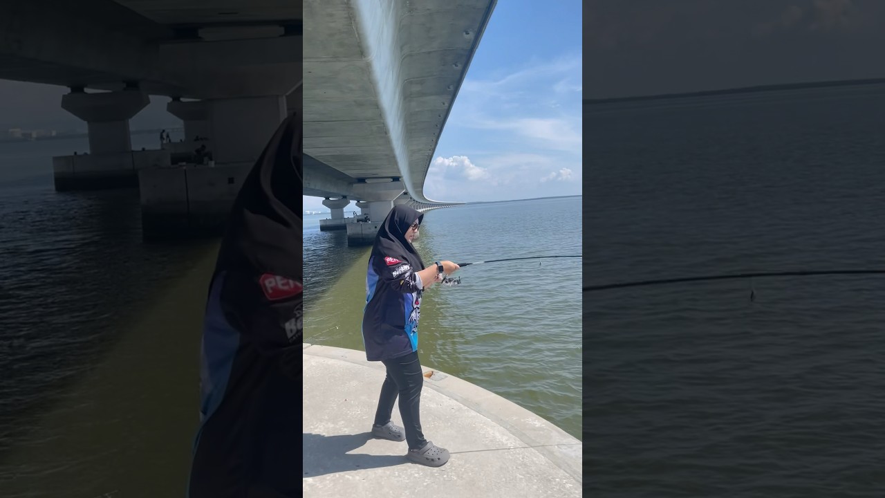 TAPAU DAUN BARU JAMBATAN PULAU PINANG | #ladyanglers #penang #pulaupinang #memancing #pancing #ikan