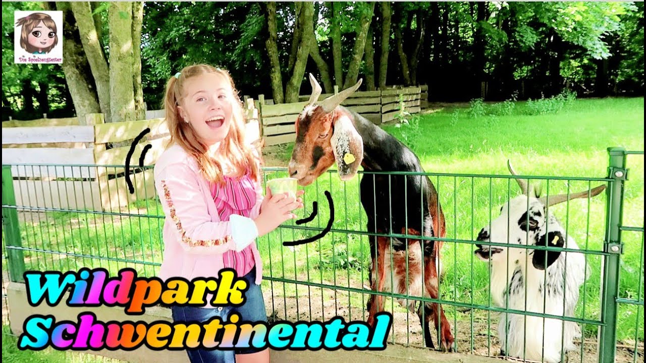 Ausflug in den WILDPARK SCHWENTINENTAL 🐐 Streichelzoo mit frechen Ziegen 🌞 Sommerferien
